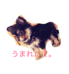 小梅。（個別スタンプ：6）