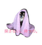 小梅。（個別スタンプ：7）