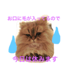 使い道に困るエルたんスタンプ（個別スタンプ：1）