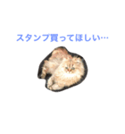 使い道に困るエルたんスタンプ（個別スタンプ：7）