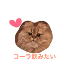 使い道に困るエルたんスタンプ（個別スタンプ：8）