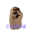 ブリショーのジャン（個別スタンプ：6）
