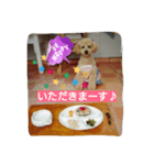 といぷーのこはる（個別スタンプ：4）