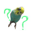 パズーくん（個別スタンプ：2）