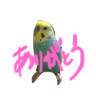 パズーくん（個別スタンプ：6）