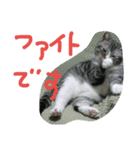 龍馬だよ（個別スタンプ：8）