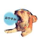 My dear brother（個別スタンプ：1）