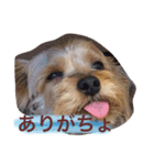 My dear brother（個別スタンプ：7）