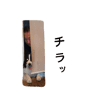 Hanabi no stamp（個別スタンプ：1）