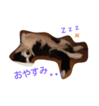 Hanabi no stamp（個別スタンプ：4）