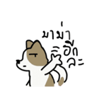 Bangkaew（個別スタンプ：6）