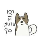 Bangkaew（個別スタンプ：20）