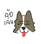 Bangkaew（個別スタンプ：23）