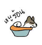 Bangkaew（個別スタンプ：26）