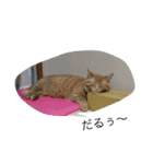 僕チョッピー（個別スタンプ：2）