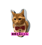 僕チョッピー（個別スタンプ：3）