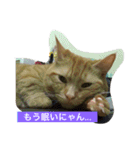 僕チョッピー（個別スタンプ：12）