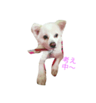 Alright's sticker（個別スタンプ：2）