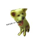 Alright's sticker（個別スタンプ：3）