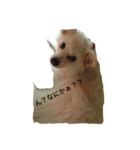 Alright's sticker（個別スタンプ：7）