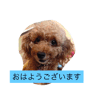 バタジャム（個別スタンプ：4）