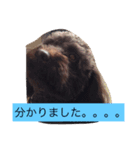 バタジャム（個別スタンプ：8）