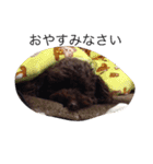 バタジャム（個別スタンプ：9）
