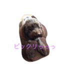 バタジャム（個別スタンプ：12）