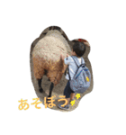 ちとスタンプ。（個別スタンプ：10）