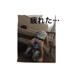 ちとスタンプ。（個別スタンプ：14）