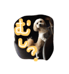 ミックス犬りょうま 2（個別スタンプ：4）