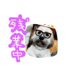 ミックス犬りょうま 2（個別スタンプ：26）