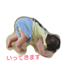 so---na（個別スタンプ：21）