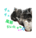 シェリーの日常（個別スタンプ：4）