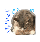 シェリーの日常（個別スタンプ：8）
