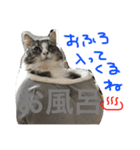 シェリーの日常（個別スタンプ：10）