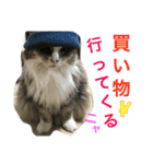 シェリーの日常（個別スタンプ：23）