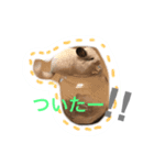 ぷーぼー vol.2（個別スタンプ：8）
