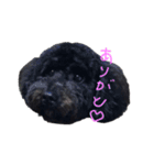 だいすき のあちゃん（個別スタンプ：1）