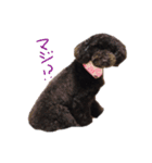 だいすき のあちゃん（個別スタンプ：11）
