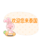 Rabbita : Happy Day**（個別スタンプ：28）