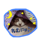 えるにゃ（個別スタンプ：1）