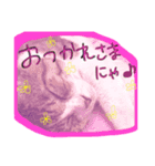 えるにゃ（個別スタンプ：4）