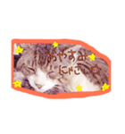 えるにゃ（個別スタンプ：8）