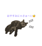 チョコちゃんの日常 壱の巻（個別スタンプ：2）