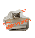 ヘマ パート2（個別スタンプ：7）