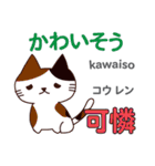 猫の気持ち 日本語台湾語（個別スタンプ：10）