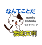 猫の気持ち 日本語台湾語（個別スタンプ：13）