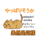 猫の気持ち 日本語台湾語（個別スタンプ：15）