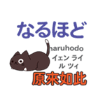 猫の気持ち 日本語台湾語（個別スタンプ：17）